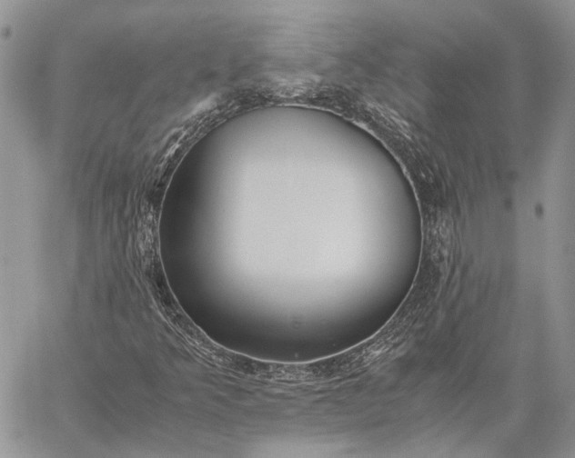 X0000059091349200510211556