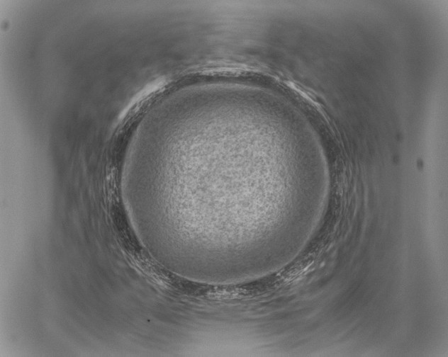 X0000059091351200510211556