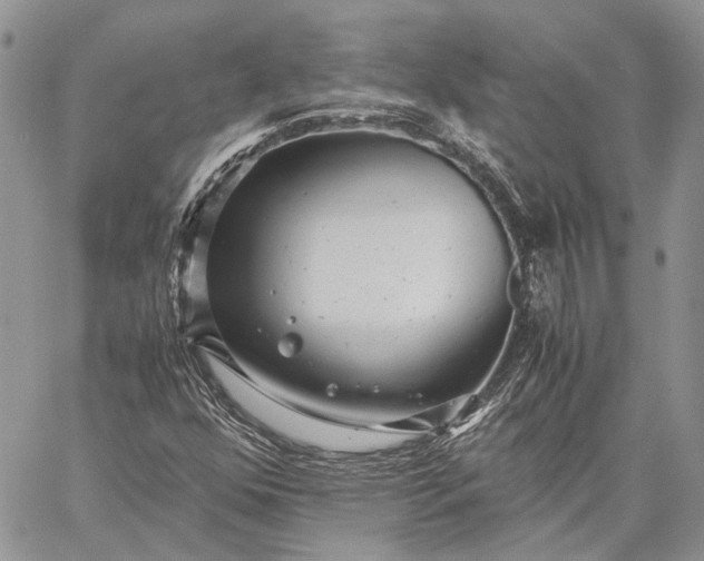 X0000059091352200510211556