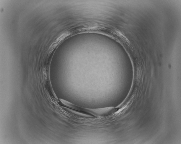 X0000059091353200510211556