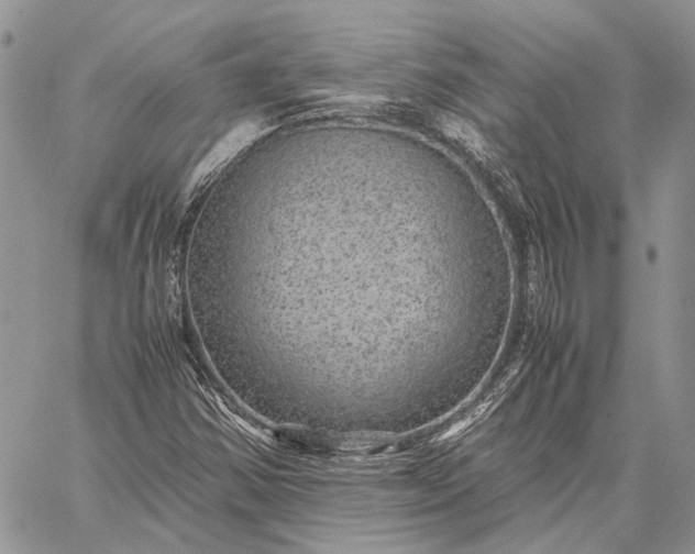 X0000059091354200510211556