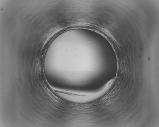 X0000059091356200510211556