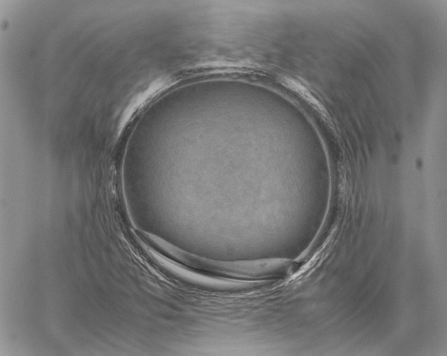 X0000059091357200510211556