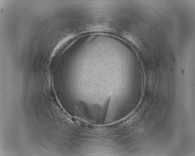 X0000059091358200510211556