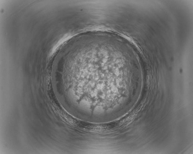 X0000059091359200510211556