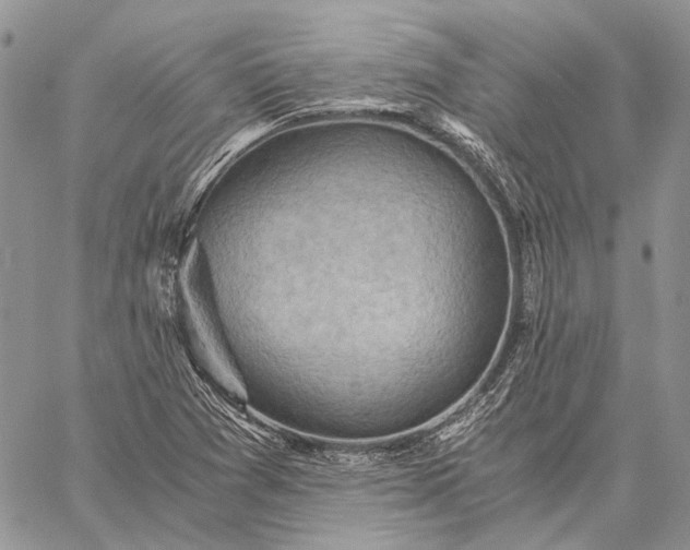 X0000059091361200510211556