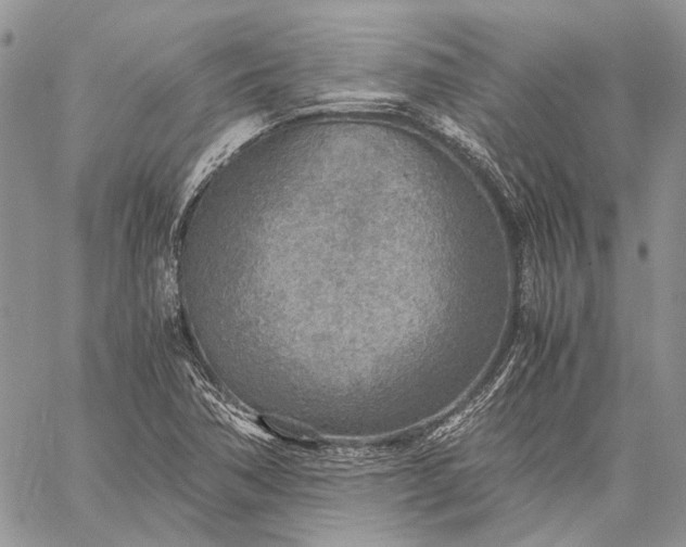 X0000059091362200510211556