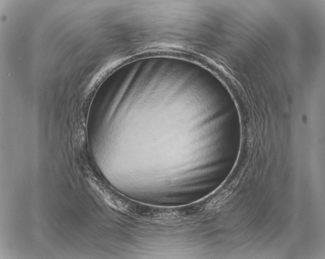 X0000059091363200510211556