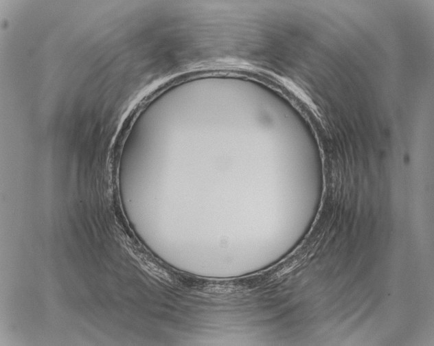 X0000059091364200510211556