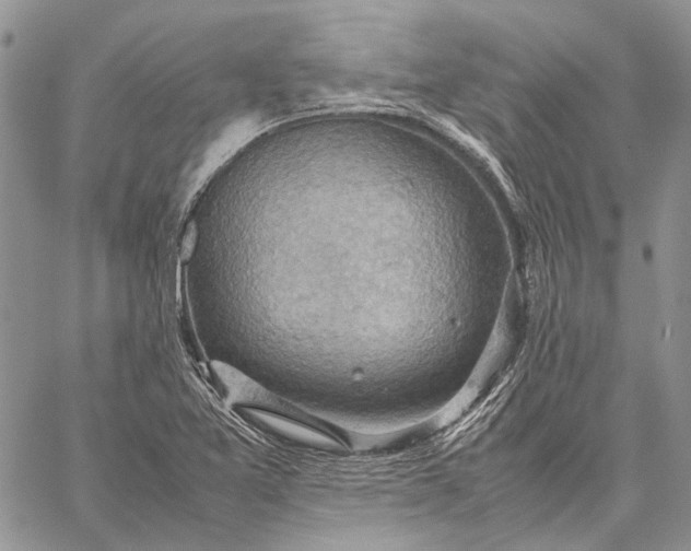 X0000059091365200510211556