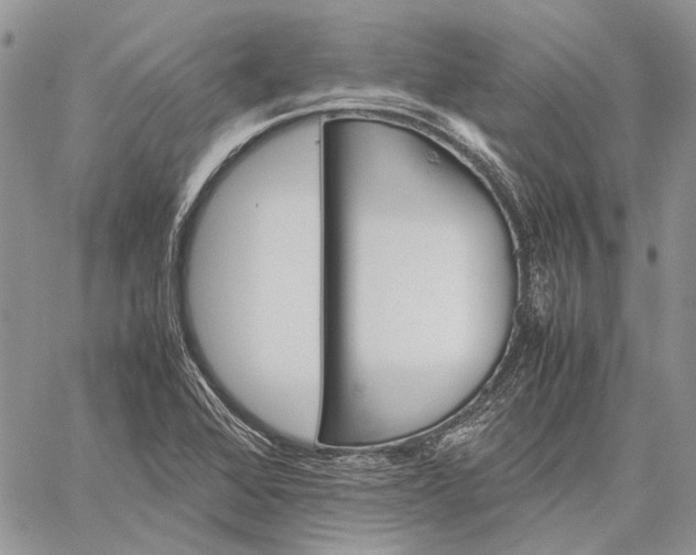 X0000059091368200510211556