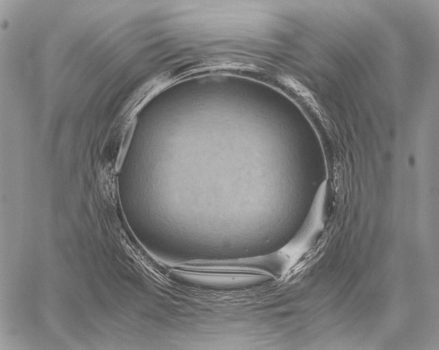 X0000059091369200510211556