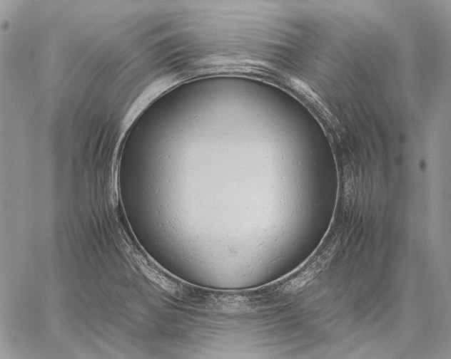 X0000059091370200510211556