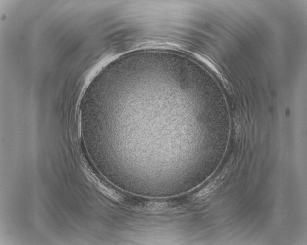 X0000059091371200510211556