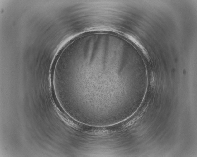 X0000059091372200510211556