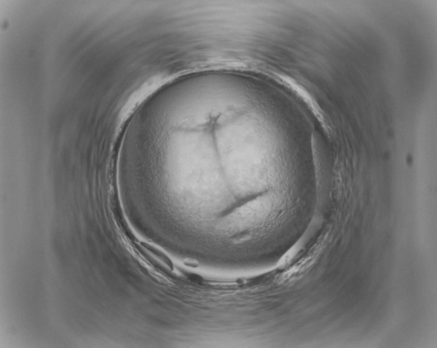 X0000059091373200510211556