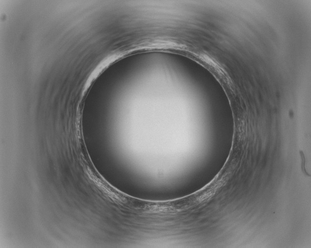 X0000059091374200510211556