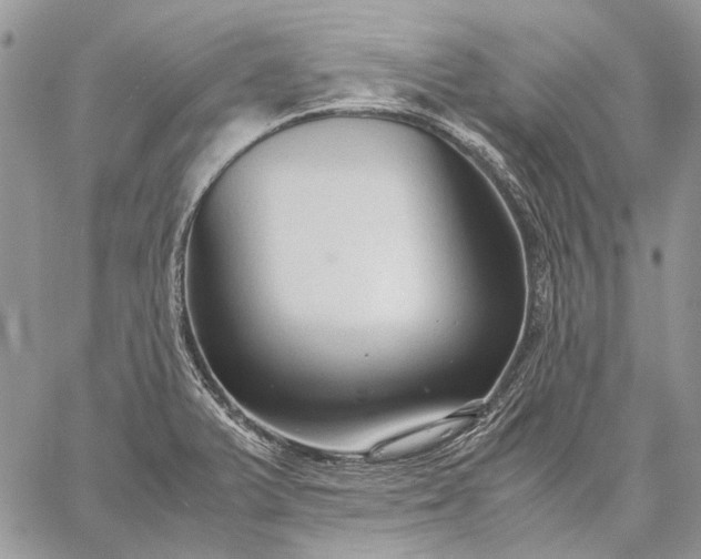 X0000059091375200510211556