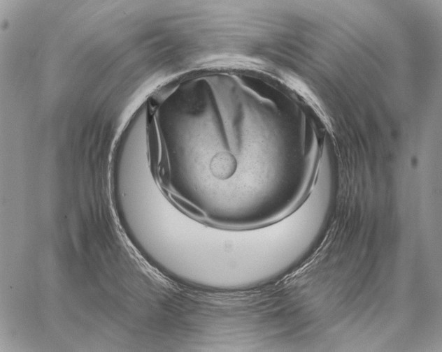 X0000059091376200510211556