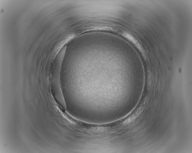 X0000059091377200510211556