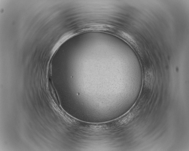 X0000059091378200510211556