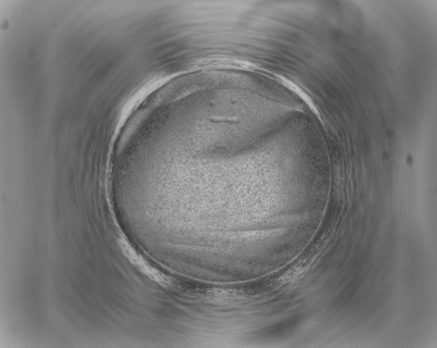 X0000059091379200510211556