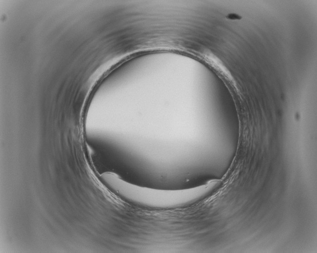 X0000059091380200510211556