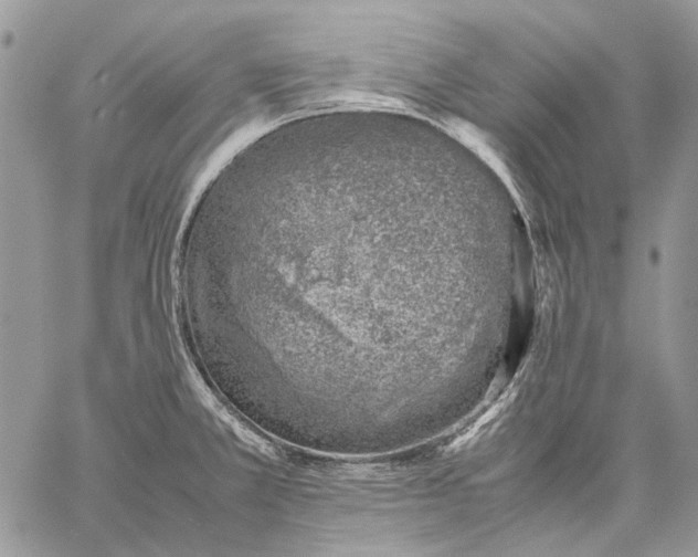 X0000059091381200510211556