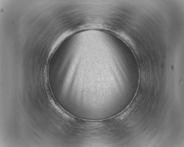 X0000059091382200510211556