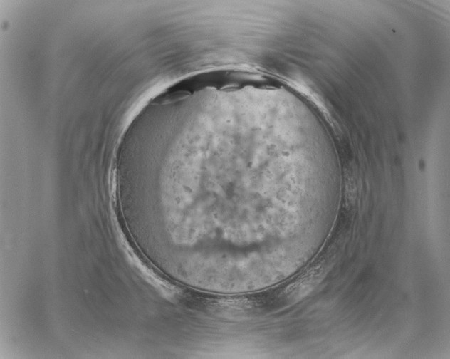 X0000059091383200510211556