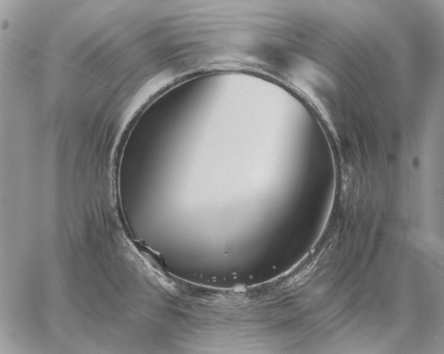 X0000059091384200510211556