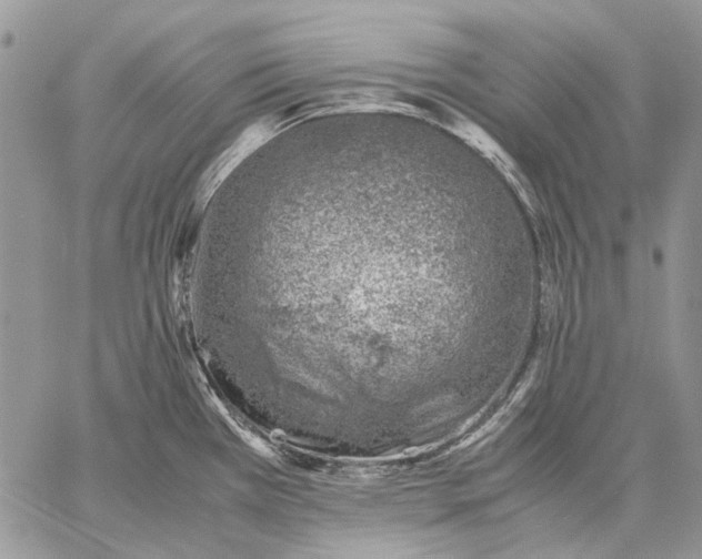 X0000059091385200510211556