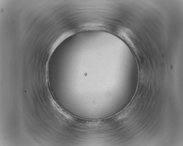 X0000059091386200510211556