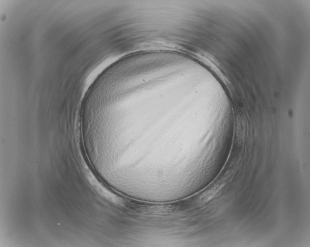 X0000059091387200510211556