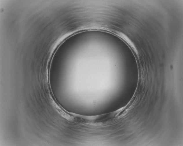 X0000059091388200510211556