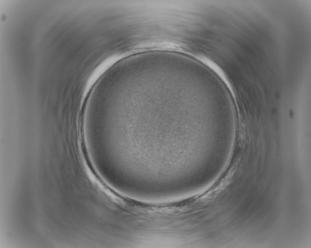 X0000059091389200510211556