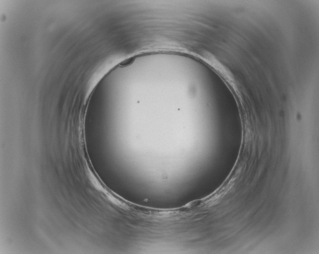 X0000059091390200510211556