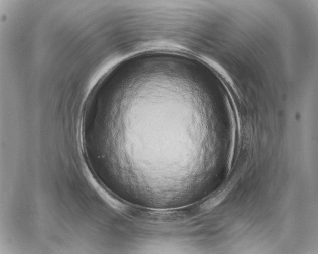 X0000059091391200510211556