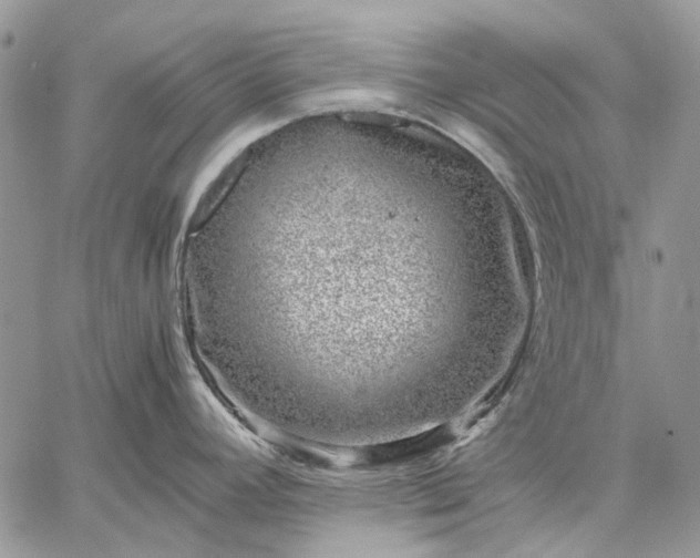 X0000059091392200510211556