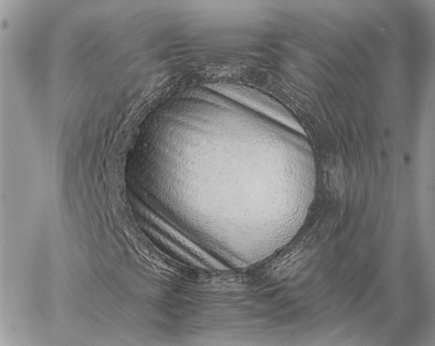 X0000059091393200510211555