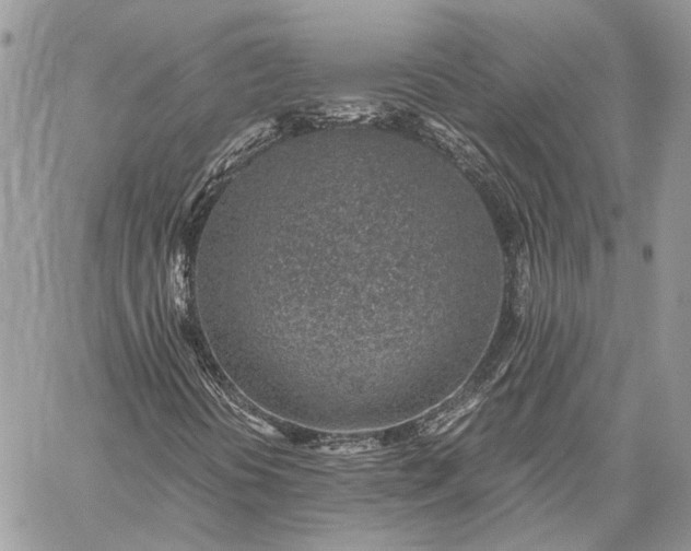 X0000059091394200510211555