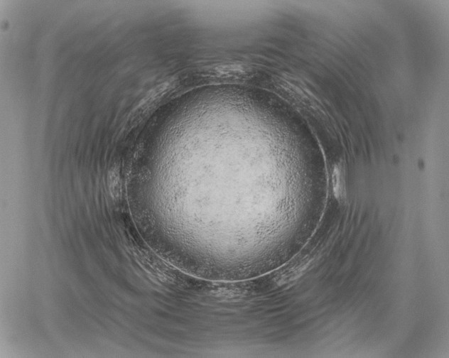 X0000059091395200510211555