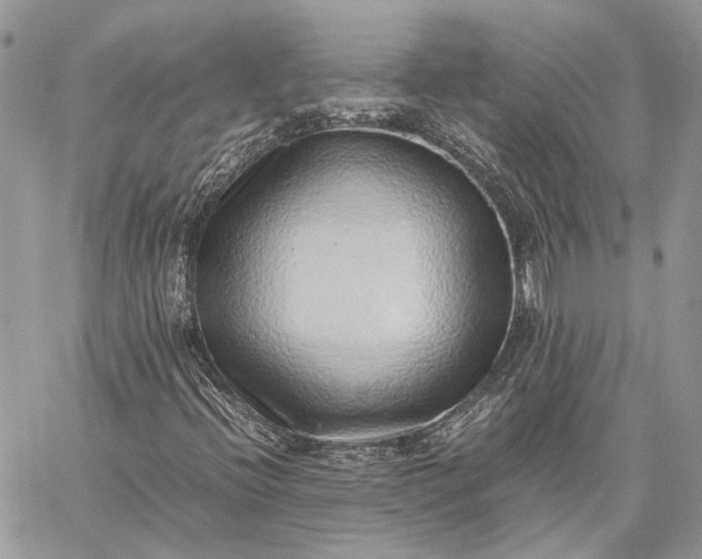 X0000059091396200510211555