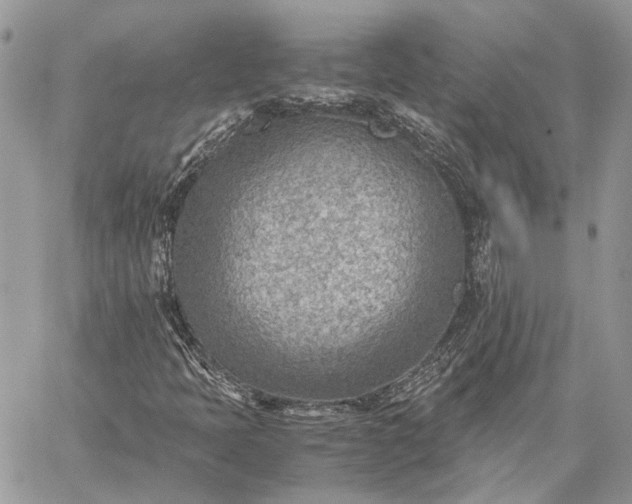 X0000059091397200510211555