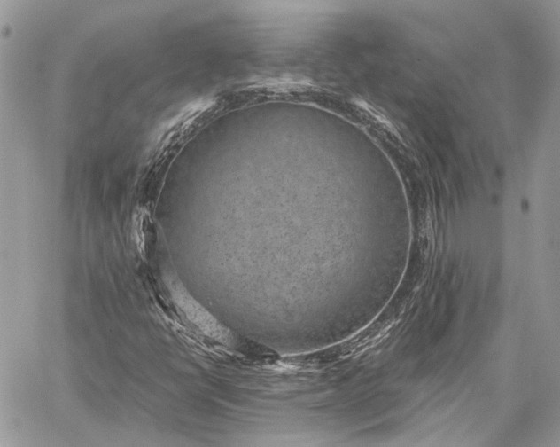 X0000059091398200510211555