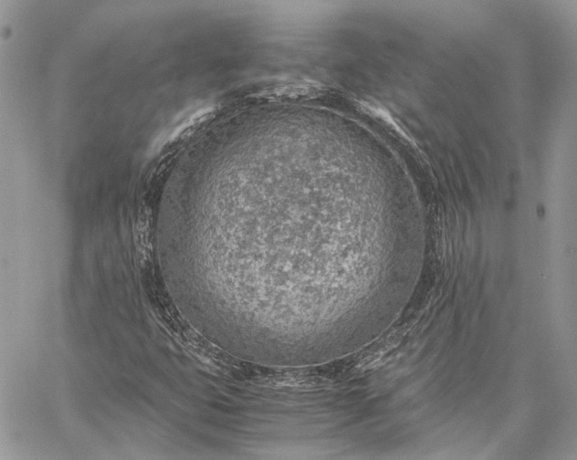 X0000059091399200510211555