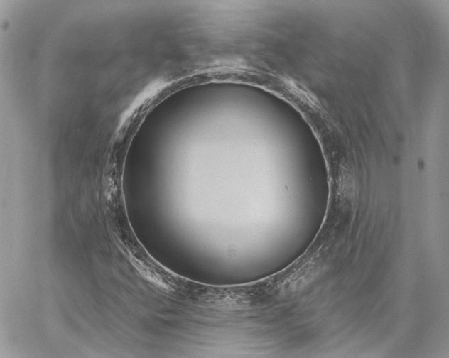 X0000059091400200510211555