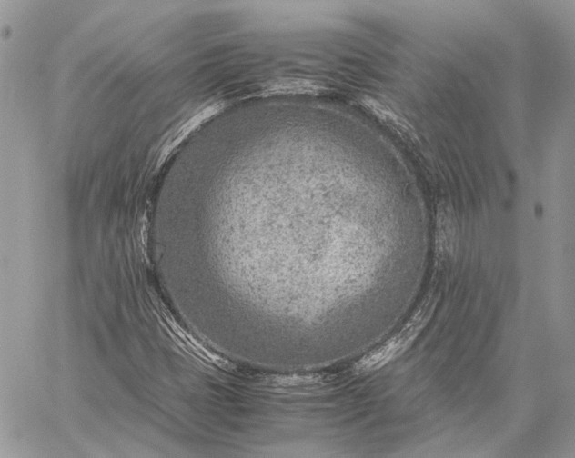 X0000059091401200510211555