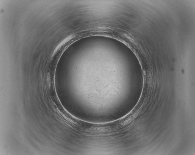 X0000059091402200510211555