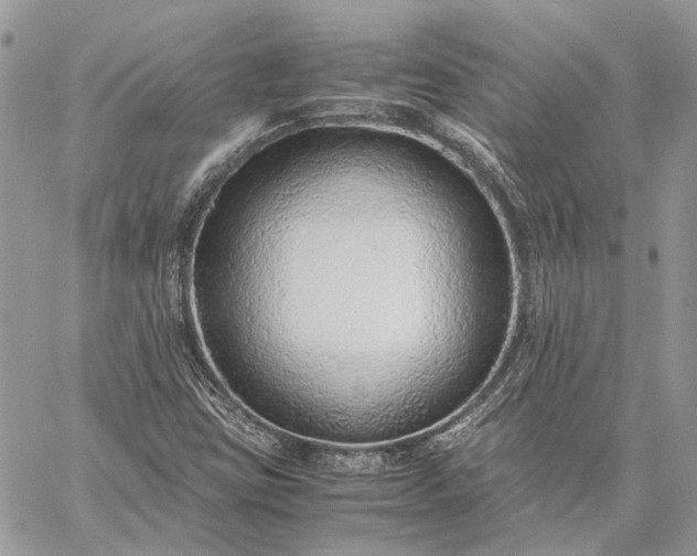 X0000059091403200510211555